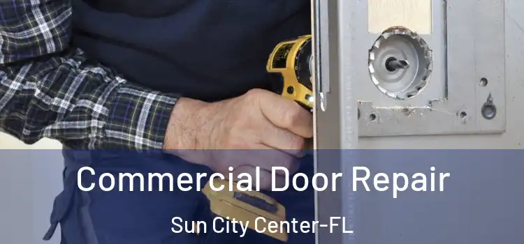 Commercial Door Repair Sun City Center-FL