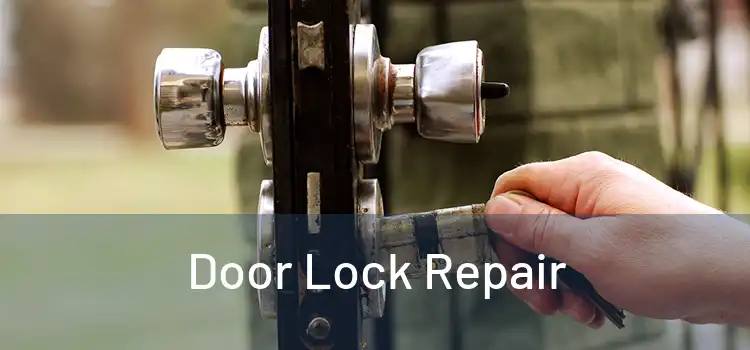 Door Lock Repair