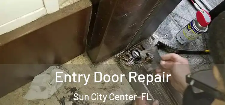 Entry Door Repair Sun City Center-FL