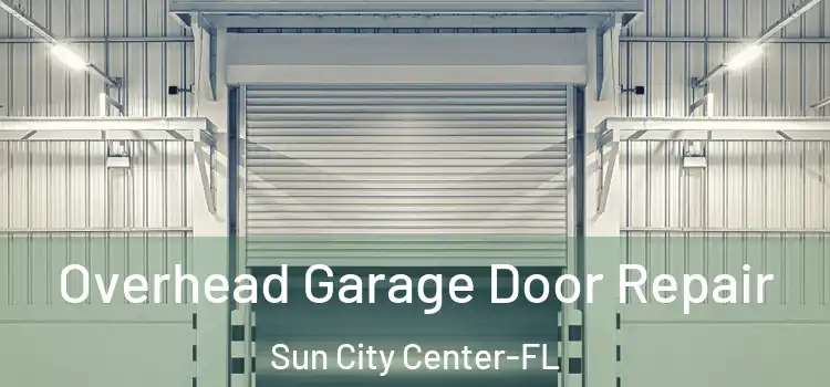 Overhead Garage Door Repair Sun City Center-FL