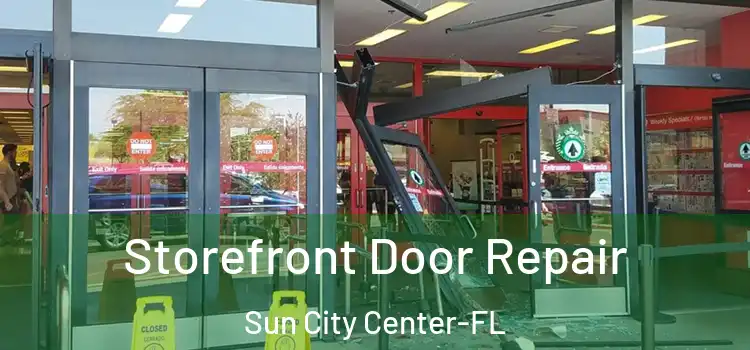 Storefront Door Repair Sun City Center-FL